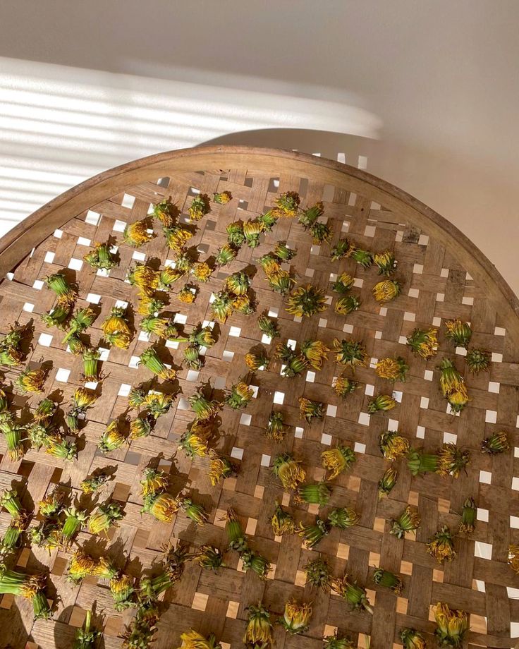 The power of bitter herbs & why you need them