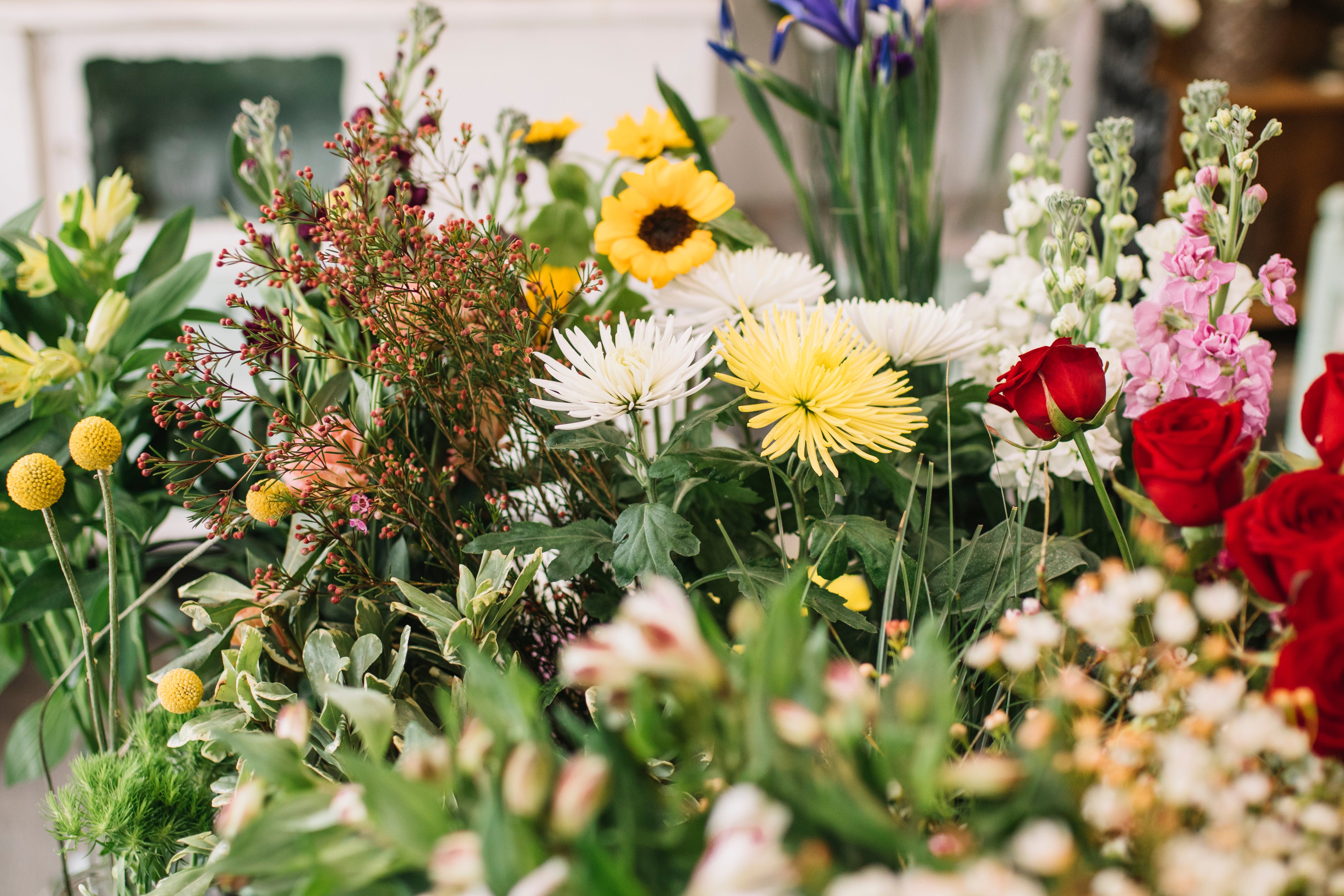 What Herbs to Take Based on the System of Your Body You’re Supporting